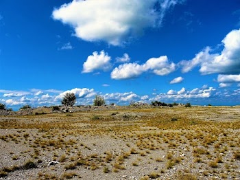 White Clouds