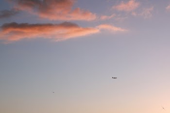 White Clouds