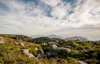 White Clouds Above Green Mountains