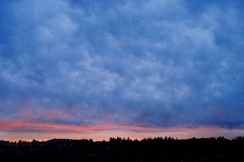 white clouds over silhouette of trees