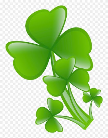 White Clover Four-leaf Clover - Clover