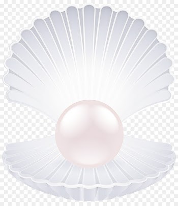 white coffee filter pearl ceiling