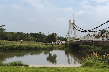 White Concrete Bridge on Body of Water Near Green Trees