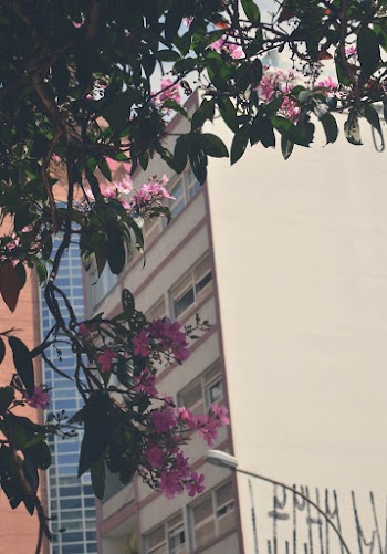 White Concrete Building