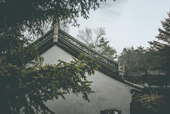 White Concrete Building Beside Tree