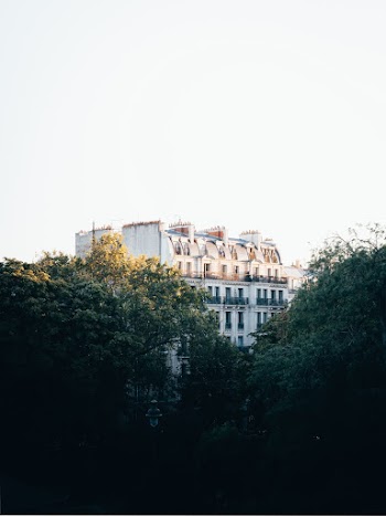White Concrete Building Near Trees