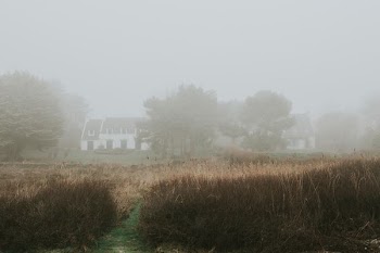 white concrete house beside trees