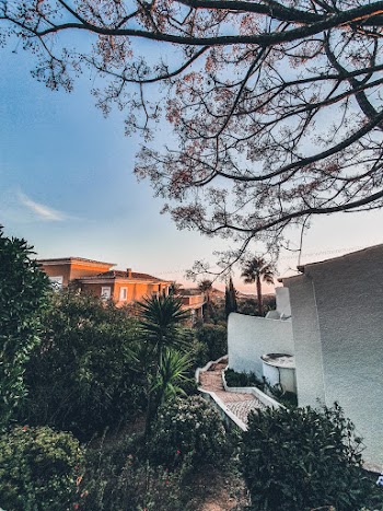 White Concrete House Near Green Trees Under Blue Sky
