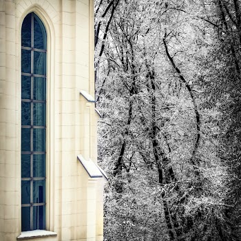 White Concrete House Near Tree