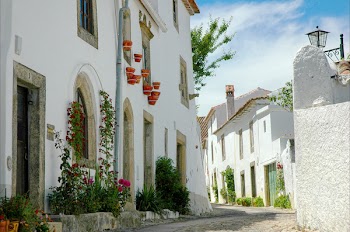 White Concrete Structure With Green and Red Plants