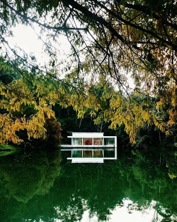 White Cottage on Body of Water Surrounded by Trees