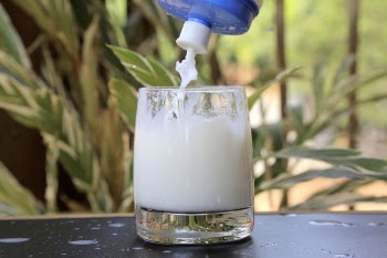 White Cream in Glass