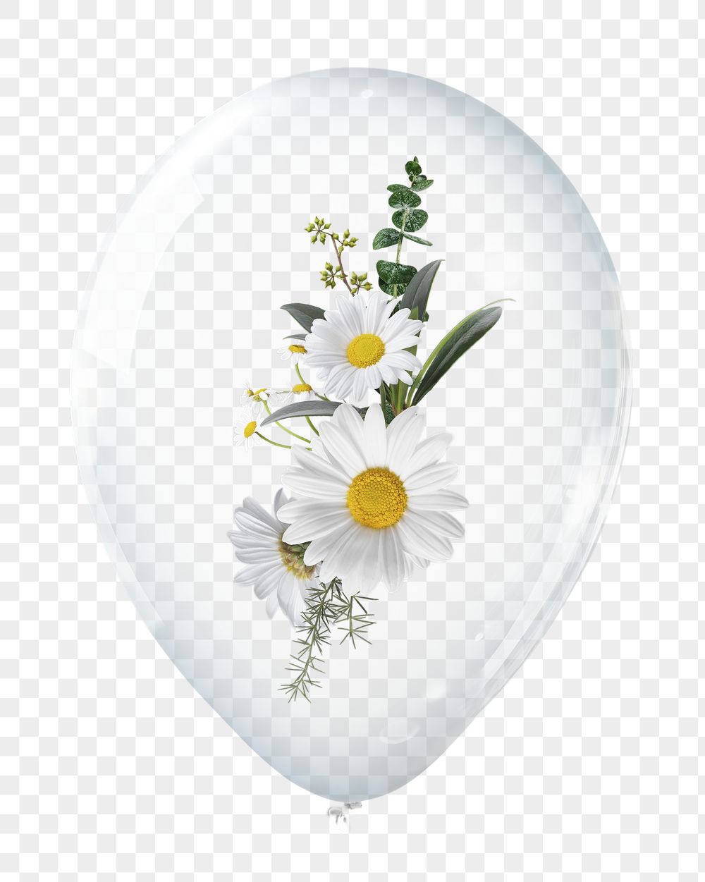 White daisies png, flower in clear | Free PNG - rawpixel
