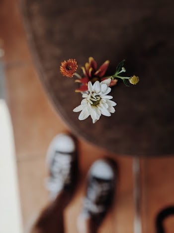 White Daisy Flower On A Table