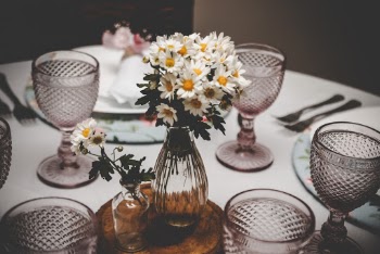 White Daisy Flowers