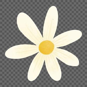 White daisy  png sticker, | Free PNG - rawpixel