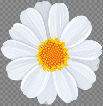 White Daisy PNG Transparent Clip Art Image | Gallery Yopriceville ...
