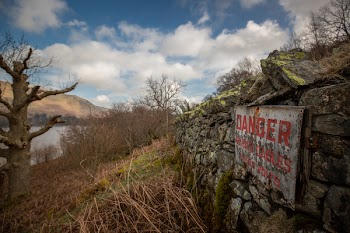 White Danger Signage Near Brown Leafless Tree
