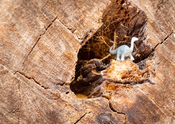 White Dinosaur Figurine on Wood Log