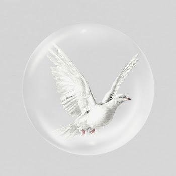 White dove sticker, animal in bubble | Free PSD - rawpixel