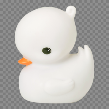 White Duck PNG Photo