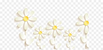 White embossed three-dimensional flowers 