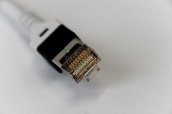 White Ethernet Cable Tip