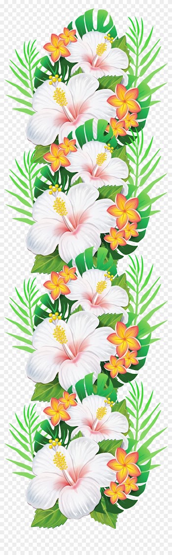 White Exotic Flowers Decoration Png Clipart - Tropical Flower Clipart