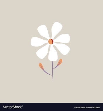 white fauna wild flower