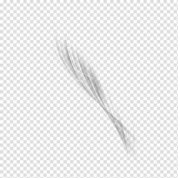 White Feather Black, Abstract transparent background PNG clipart