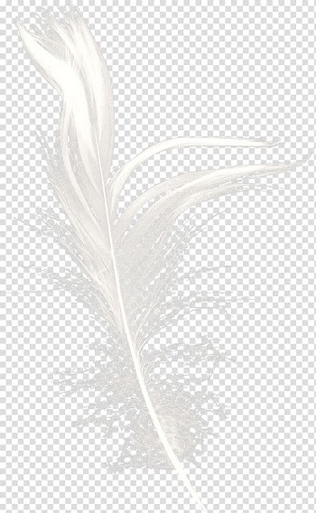White Feather Black Pattern, White Feather Dream transparent background PNG clipart