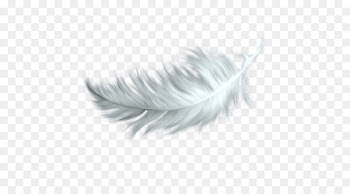 White feather Clip art - Falling white feathers 