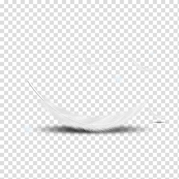White feathers illustration, The Floating Feather White feather, feather transparent background PNG clipart