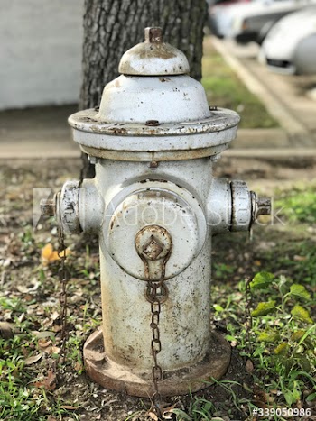 White fire pump