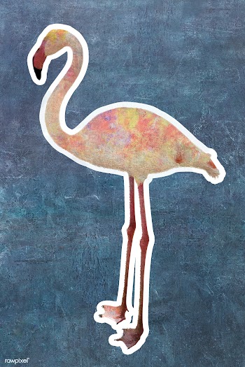White flamingo bird sticker design element illustration | Free  illustration - 2338910