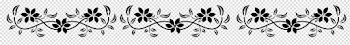 White Floral Border PNG Image