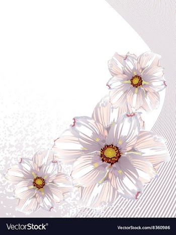 White Floral Design vector image