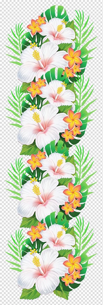 White floral , Flower Garland , tropical flower transparent background PNG clipart