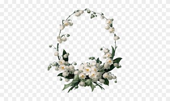 White Flower Border