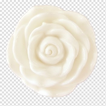 White flower decor , Beach rose Wind rose , rose transparent background PNG clipart