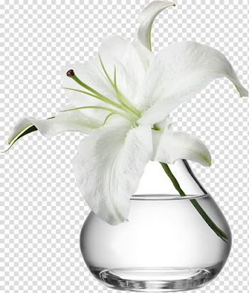 White flower in clear glass vase , Vase Flowerpot Glass Flower bouquet, vase transparent background PNG clipart