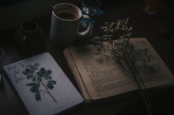 White Flower on Book