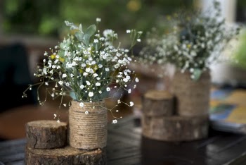 White Flowered Plant