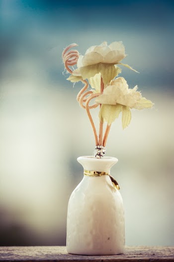 White Flowers