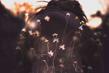 White Flowers