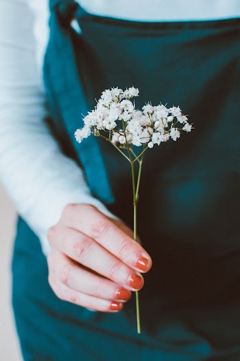 White Flowers