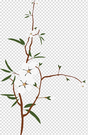 White flowers and green leaves art, Twig, Snow White Plum Plum material transparent background PNG clipart