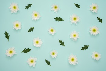 White Flowers and Leaves Decor