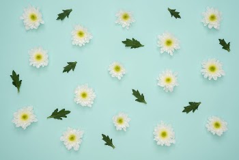 White Flowers and Leaves Decor