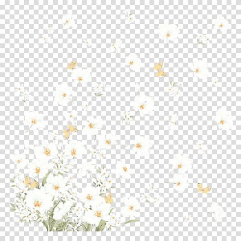White flowers art, White Flower , Small white flowers transparent background PNG clipart
